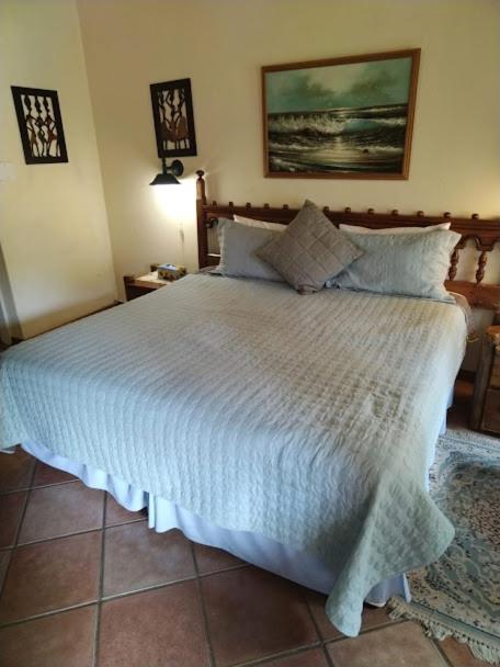 Buona Notte Bed & Breakfast โจฮันเนสเบิร์ก ภายนอก รูปภาพ
